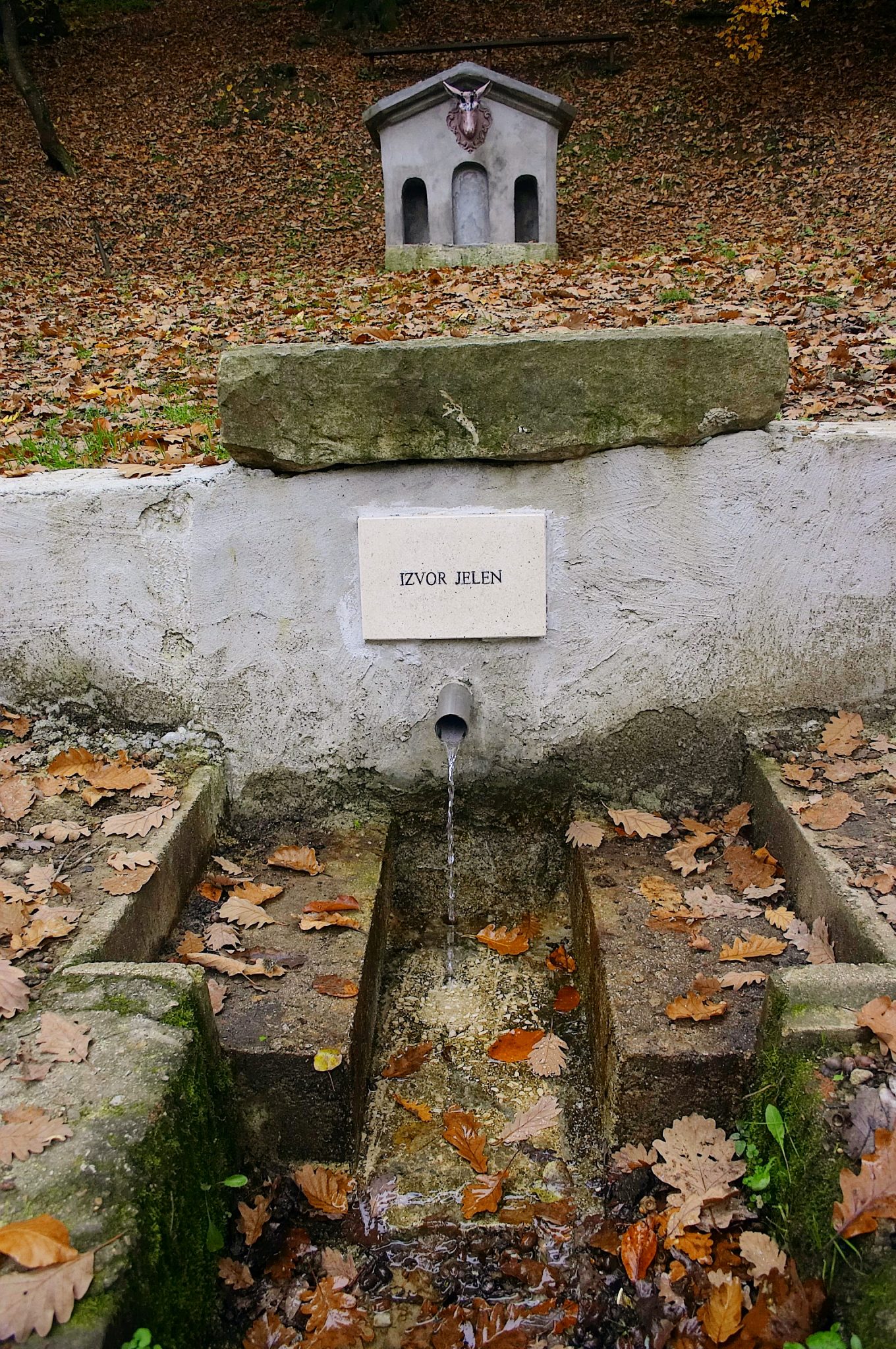 Izvor Jelen u Petrinji