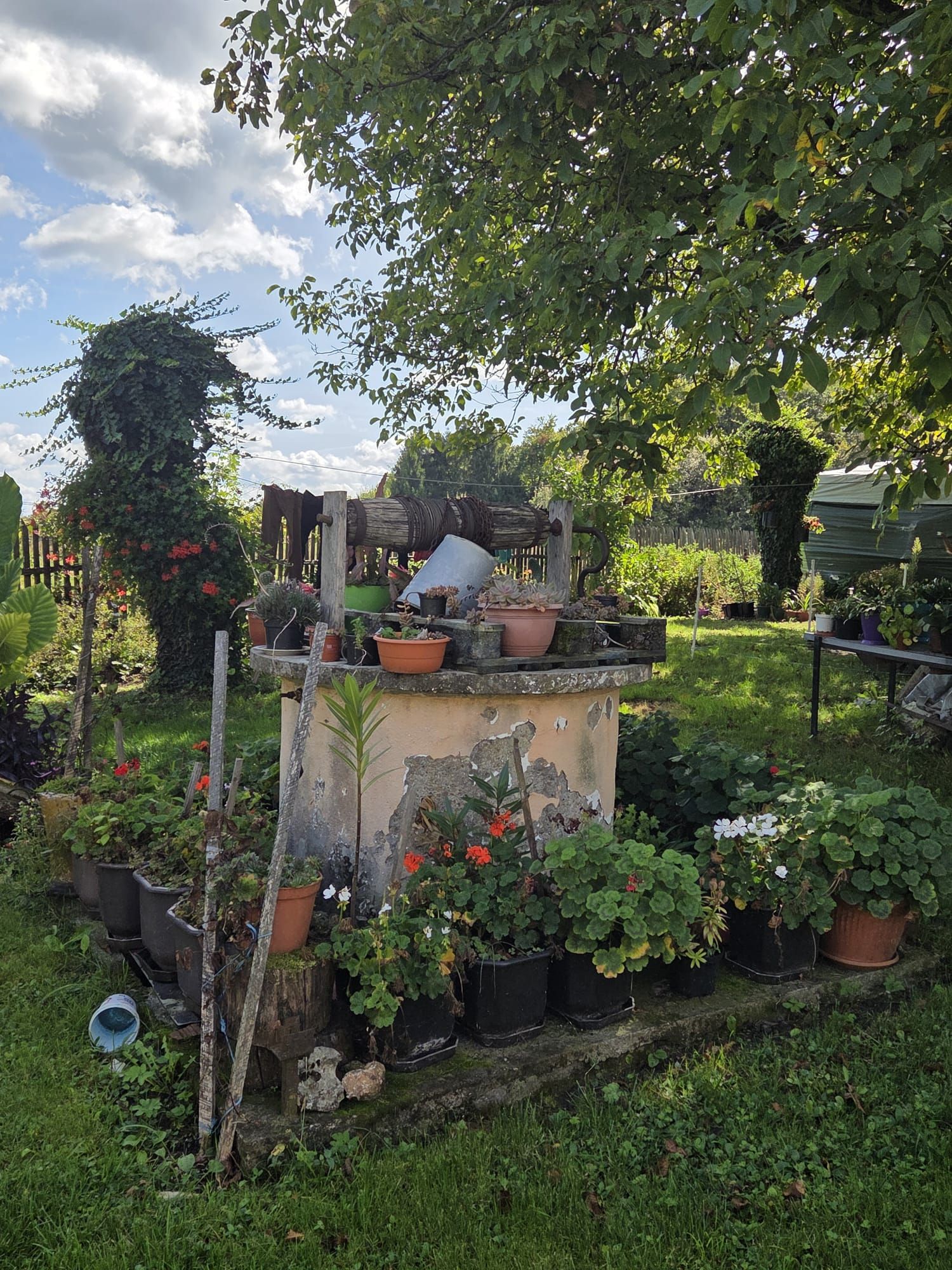 Ukrašeni bunar obitelji Vuletić u selu Klinac